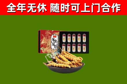 绵阳回收冬虫夏草价格